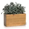 LECHUZA® PALO Natural Wood 80 wide low - Komplettset FSC 100 % Eukalyptus grandis