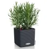 LECHUZA® Pflanzgefäße CUBE Color 14 Schiefergrau mit Dochtsystem
