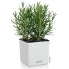 LECHUZA® Pflanzgefäße CUBE Color 14 Weiß mit Dochtsystem