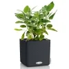 LECHUZA® Pflanzgefäße CUBE Color 16 Schiefergrau mit Dochtsystem