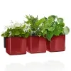 LECHUZA® Pflanzgefäße CUBE Glossy Green Wall Home Kit Scarlet rot hochglänzend