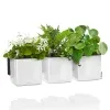 LECHUZA® Pflanzgefäße CUBE Glossy Green Wall Home Kit Weiß hochglänzend