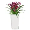 LECHUZA® Pflanzgefäße CUBICO 22 Weiß hochglänzend All-in-One