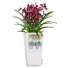 LECHUZA® Pflanzgefäße CUBICO 22 Weiß hochglänzend All-in-One