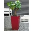 LECHUZA® Pflanzgefäße CUBICO 30 Scarlet rot hochglänzend All-in-One