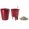 LECHUZA® Pflanzgefäße MINI-DELTINI Scarlet rot hochglänzend All-in-One