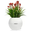 LECHUZA® Pflanzgefäße PURO Color 20 Weiß All-in-One