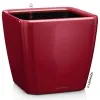 LECHUZA® Pflanzgefäße QUADRO LS 50 Scarlet rot hochglänzend All-in-One