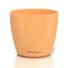 LECHUZA® Übertopf CLASSICO Color DECO 10 Papaya apricot Ø 11 cm - Kunststoff