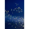 Lumineo Batterie Micro-LED Lichterkette Compact silber 1,2 Meter 100 Lichter - warmweiß