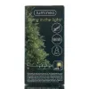 Lumineo LED Lichterkette Basic schwarz 18 Meter 240 Lichter - softgold