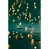 Lumineo LED Lichterkette Micro flex wire grün 27 Meter 360 Lichter - klassisch warm
