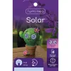 Lumineo Solar LED Figur Kaktus mit rollenden Augen 16,5 x 19 cm - Resin