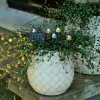 Lumineo Solar Stabbeleuchtung Pilze bunt Ø 4,5 cm L: 275 cm H: 20 cm kaltweiß