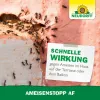 NEUDORFF® AmeisenStopp AF anwendungsfertig 500 ml