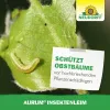 NEUDORFF® Aurum® InsektenLeim - 125 g