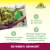 NEUDORFF® Azet® BalkonpflanzenDünger 1 Liter
