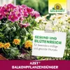 NEUDORFF® Azet® BalkonpflanzenDünger 2 Liter
