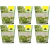 NEUDORFF® Azet® BambusDünger BIO logisch - 1,75 kg x 6