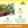 NEUDORFF® Azet® BlumenDünger flüssig - 250 ml
