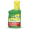 NEUDORFF® Azet® Buxus- & IlexDünger flüssig - 250 ml
