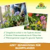 NEUDORFF® Azet® DüngeSticks für Blühpflanzen - 40 Sticks
