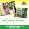NEUDORFF® Azet® DüngeSticks für Grünpflanzen - 40 Sticks
