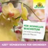 NEUDORFF® Azet® DüngeSticks für Orchideen - 40 Sticks