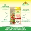 NEUDORFF® Azet® DüngeSticks für Tomaten & Erdbeeren - 40 Sticks