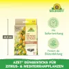 NEUDORFF® Azet® DüngeSticks für Zitrus- & Mediterranpflanzen - 40 Sticks