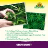 NEUDORFF® Azet® GrowBoost für 18 Setzlinge oder bis zu 4 Pflanzen - 36 g