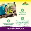 NEUDORFF® Azet® GrowDünger - 1 Liter