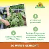 NEUDORFF® Azet® HochbeetDünger 1 Liter