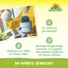 NEUDORFF® Azet® Kakteen- & SukkulentenDünger 250 ml