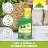 NEUDORFF® Azet® Kakteen- & SukkulentenDünger 250 ml