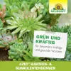 NEUDORFF® Azet® Kakteen- & SukkulentenDünger 250 ml