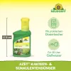 NEUDORFF® Azet® Kakteen- & SukkulentenDünger 250 ml