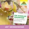 NEUDORFF® Azet® OrchideenDünger 250 ml