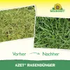 NEUDORFF® Azet® RasenDünger für bis zu 50 m² - 2,5 kg