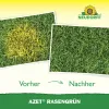 NEUDORFF® Azet® Rasengrün 250 ml für 10 m²