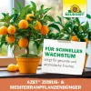 NEUDORFF® Azet® Zitrus- & Mediterran PflanzenDünger - 1 Liter