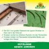 NEUDORFF® Bestell-Karte Nützlinge gegen Ameisen - 10 Mio. SF-Nematoden