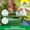 NEUDORFF® Bestell-Karte Nützlinge gegen Dickmaulrüssler - 10 Mio. HM-Nematoden