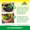 NEUDORFF® Bestell-Karte Nützlinge gegen Trauermücken - 5 Mio. SF-Nematoden