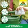 NEUDORFF® Bestell-Karte Nützlinge gegen Trauermücken - 5 Mio. SF-Nematoden