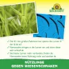NEUDORFF® Bestell-Karte Nützlinge gegen Wiesenschnaken - 10 Mio. SC-Nematoden