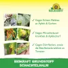 NEUDORFF® BioKraft® Grundstoff Schachtelhalm für Obst & Gemüse - 500 ml
