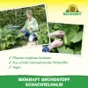 NEUDORFF® BioKraft® Grundstoff Schachtelhalm für Obst & Gemüse - 500 ml