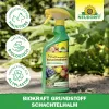 NEUDORFF® BioKraft® Grundstoff Schachtelhalm für Obst & Gemüse - 500 ml