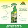 NEUDORFF® BioKraft Vitalkur Buxus Ilex AF anwendungsfertig - 500 ml